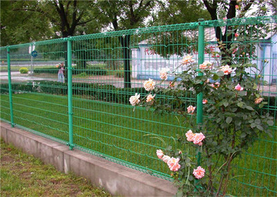 供應(yīng)低價(jià) 價(jià)格合理的雙圈護(hù)欄網(wǎng)[廠(chǎng)家直銷(xiāo)]圖片|供應(yīng)低價(jià) 價(jià)格合理的雙圈護(hù)欄網(wǎng)[廠(chǎng)家直銷(xiāo)]產(chǎn)品圖片由安平縣特蘭金屬絲網(wǎng)制造公司生產(chǎn)提供-