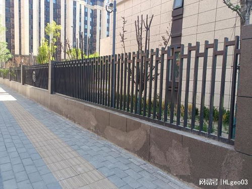 2025年專注護欄網生產與批發 河北森恒，您的可靠選擇